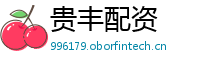 贵丰配资